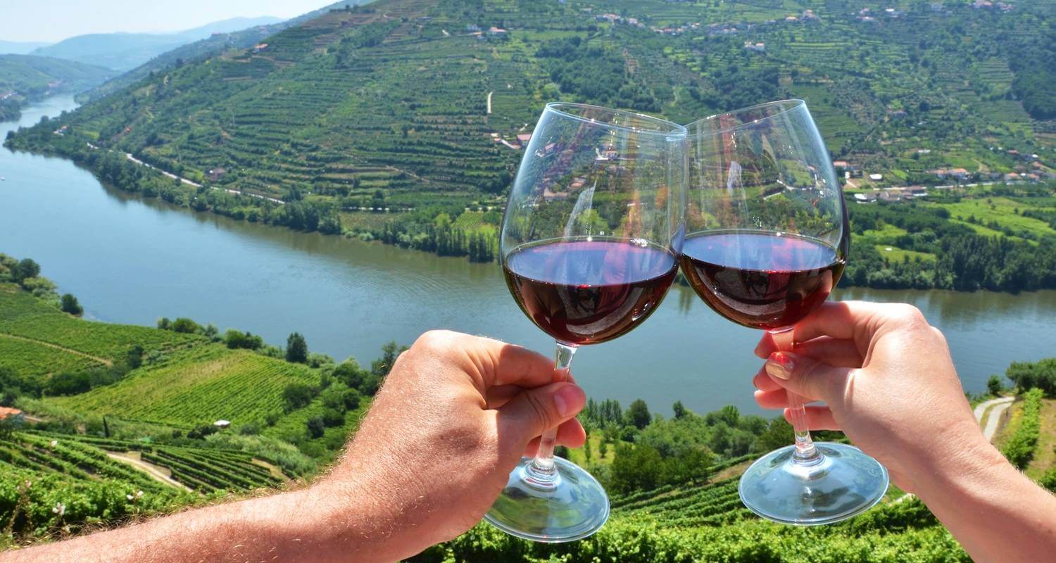 Douro Valley terraced vineyards UNESCO wine region Portugal