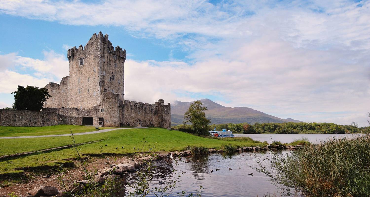 Dingle, Killarney & Wild Atlantic Way Small-Group Tour – dramatic coastal scenery and ancient Irish landscapes