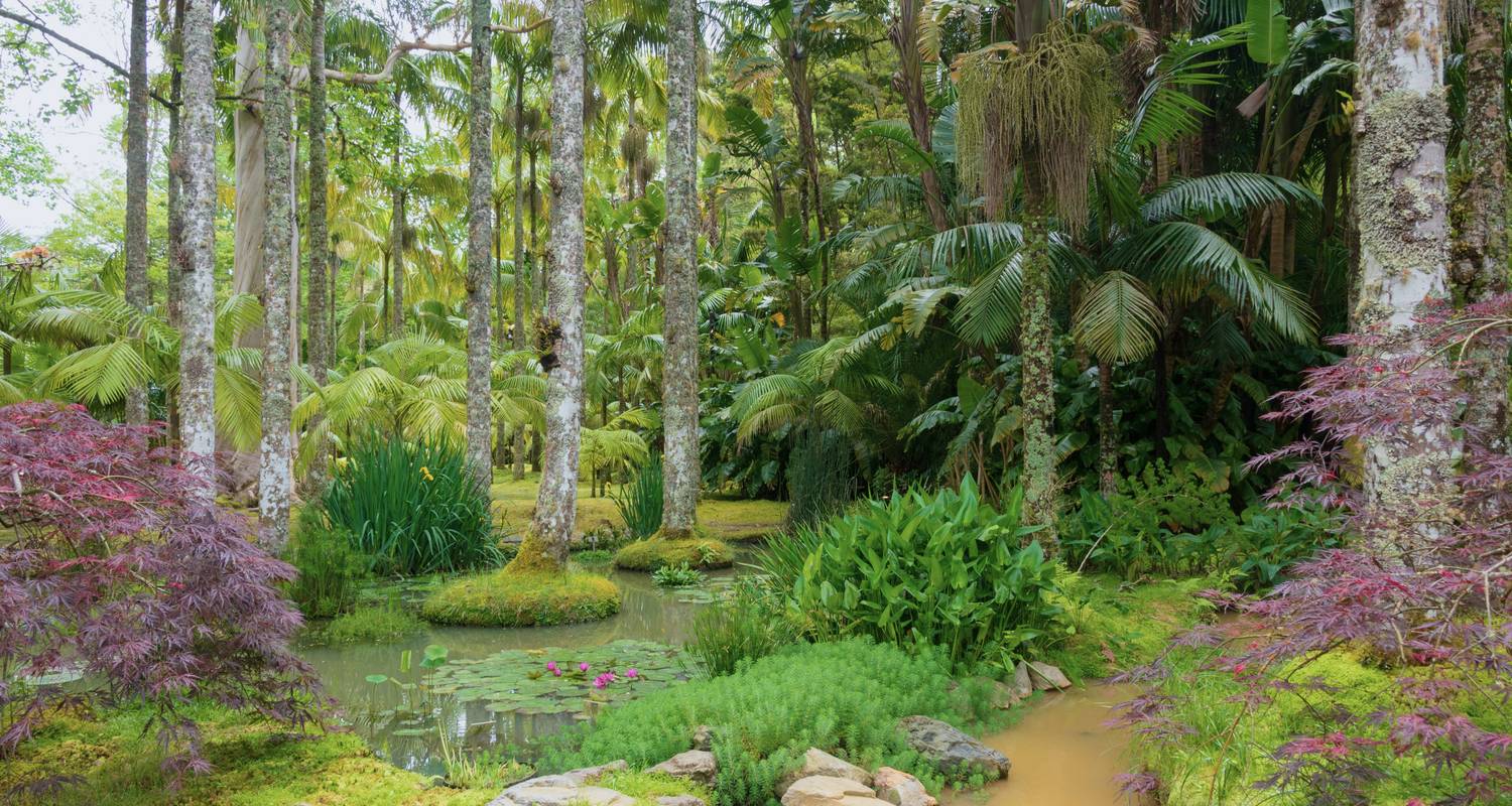 Furnas Lake geothermal activity Terra Nostra Park São Miguel Azores