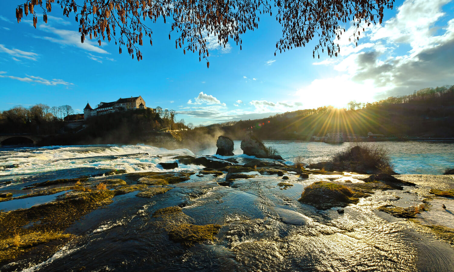 Rhine Falls roaring waters viewed from viewing platform Zurich tour